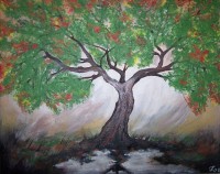 /album/nature/tradet/