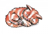/album/illustrations-for-book/a1-jpg/