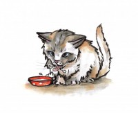 /album/illustrations-for-book/mlsa-jpg/